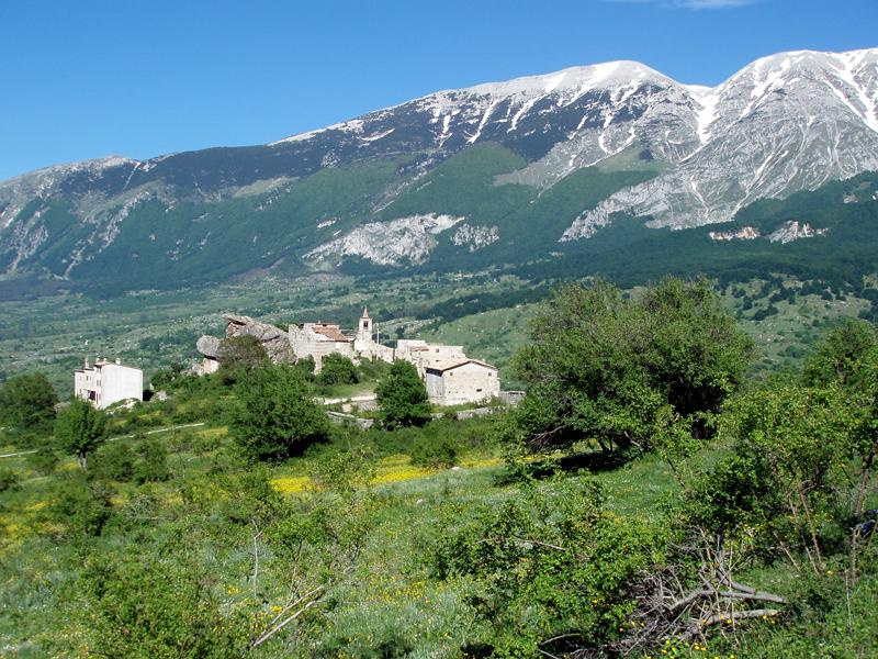 Fauna selvatica ad Abbateggio, Di Marco chiede interventi al Parco della Maiella: “Più monitoraggi e sicurezza”