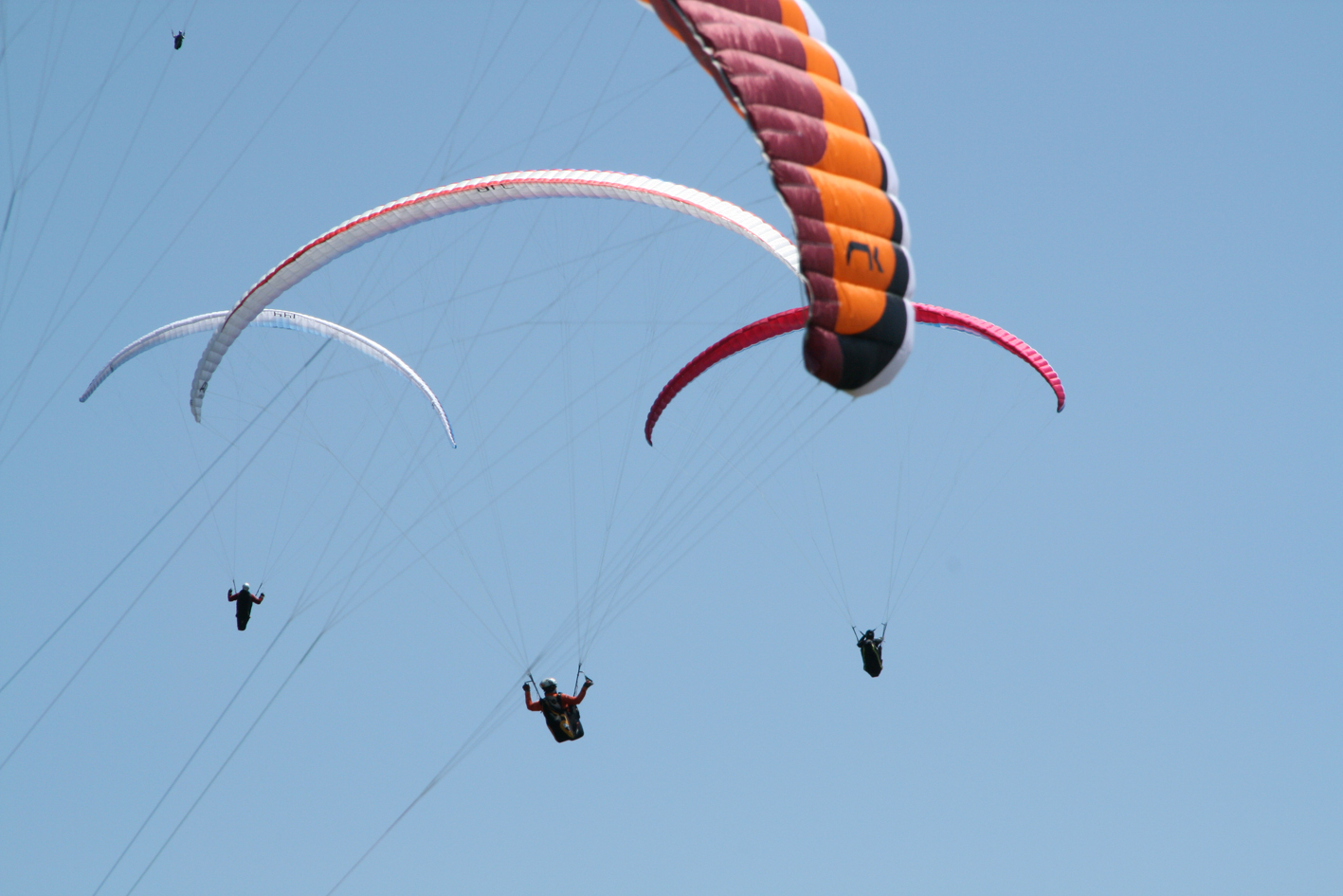 Parapendio al Festival del Vento di Spotorno (Savona)