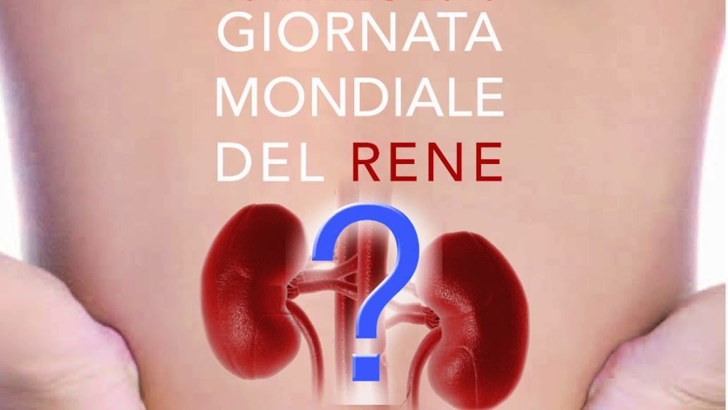 12 marzo:  10 °Anniversario della Giornata Mondiale del Rene