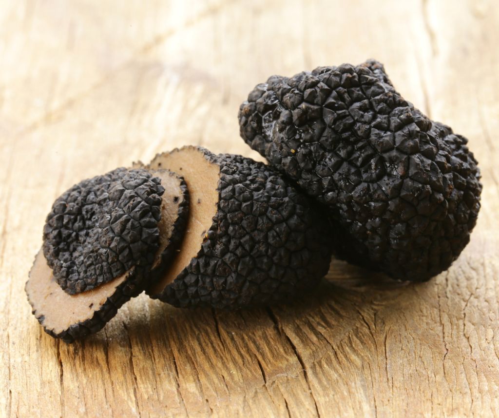 Nasce il marchio collettivo geografico del tartufo aquilano