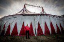 Orfei Circus in L'Aquila