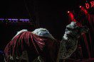 Orfei Circus in L'Aquila