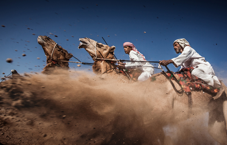 Terzo premio, Camel ardah, Oman. (Ahmed Al Toq, National Geographic traveler photo contest)