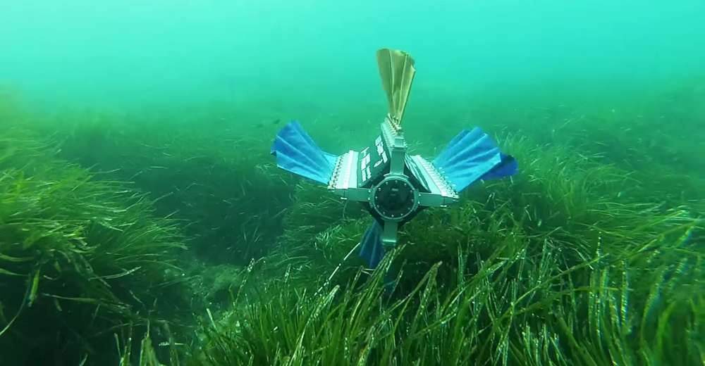 Alla scoperta dei segreti del mare, ecco i droni subacquei