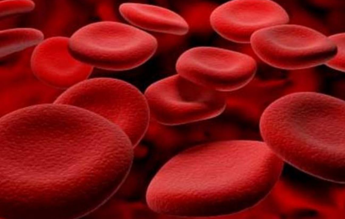 Italia e Stati Uniti insieme per combattere i tumori del sangue