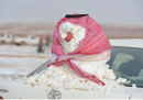 Neve in Arabia Saudita