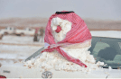 Neve in Arabia Saudita