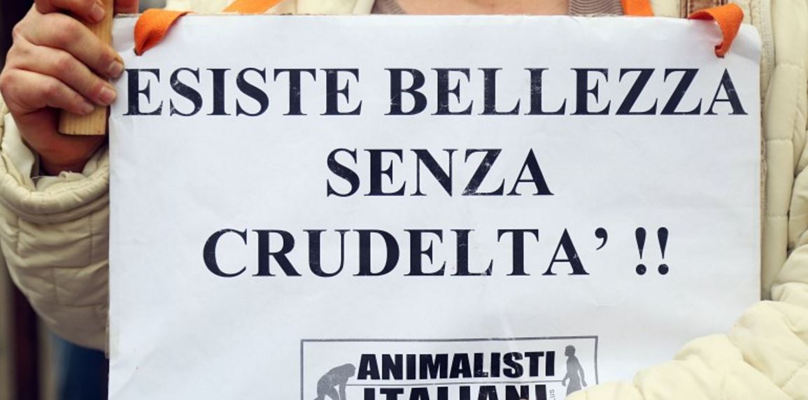 Animalisti italiani: ‘Roma sia capitale della moda senza pellicce’