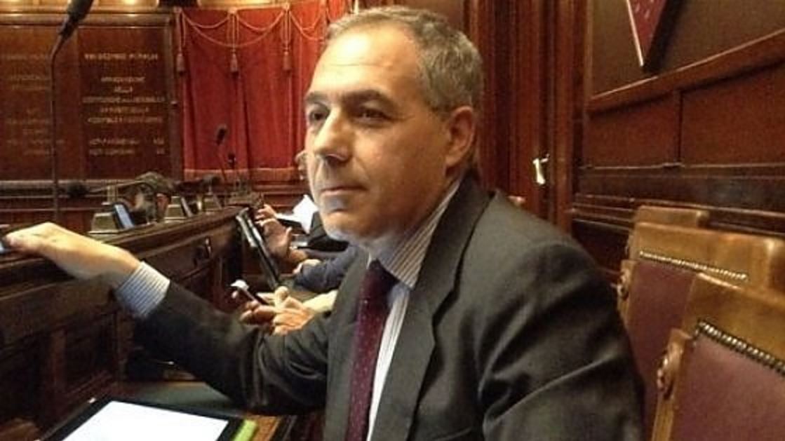 Animali, la proposta Anzaldi (Pd): “Sterilizziamo i cani. Oppure tassiamoli”