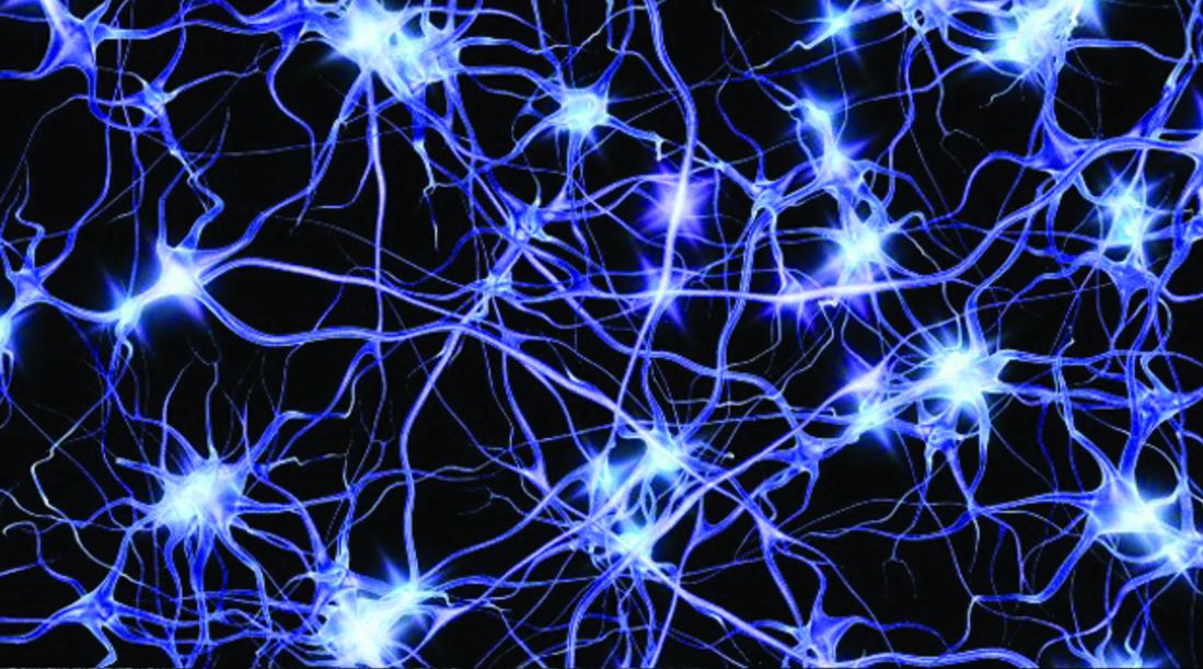 Troppo zucchero manda il cervello in tilt