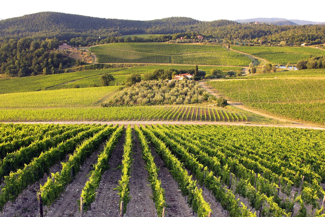 Made in italy,Consorzio Chianti a Martina: “No al clone Usa”
