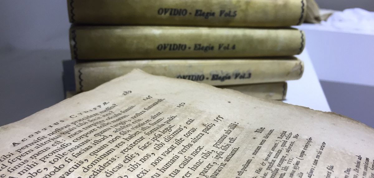 Cultura: 1.200 visitatori alla mostra “Ovidii Taberna”