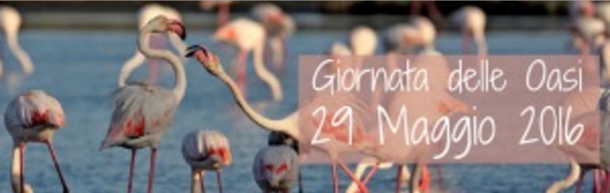 Ambiente: torna in Abruzzo la Giornata delle Oasi del WWF
