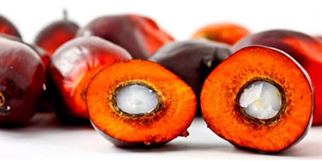 Olio di palma cancerogeno? Le multinazionali del cibo sapevano da 12 anni