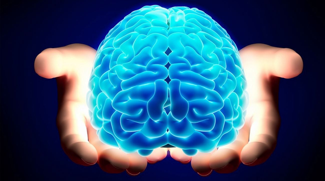 Giovani antisociali, è colpa dello sviluppo cerebrale