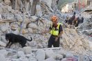 Italy 29 August 2016, earthquake in Central Italy