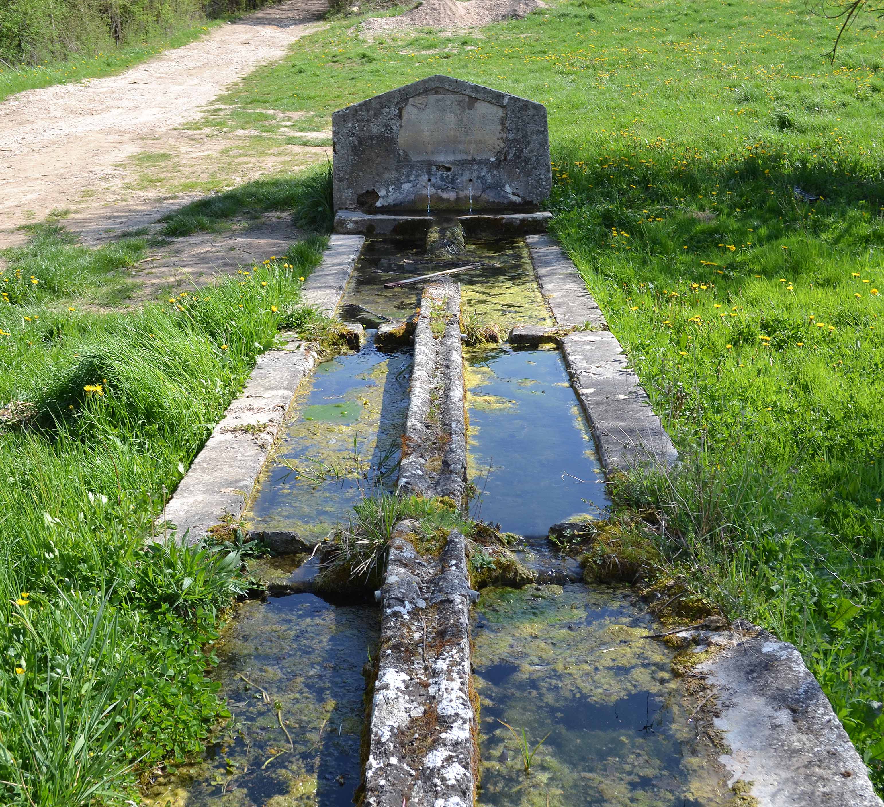 Tante idee per il Fontanile Quinzi