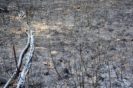 discarica bussi 15