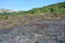 discarica bussi 4
