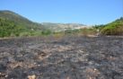 incendio bussi