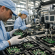 Meta Electronics conferma il rilancio industriale dopo l’ingresso in Certina