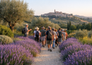 Passeggiata nel giardino delle lavande del Parco Lauretum il 21 giugno