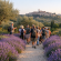 Passeggiata nel giardino delle lavande del Parco Lauretum il 21 giugno