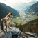 Presentato a Caramanico il documentario LIFE WILD WOLF sulla convivenza tra lupi e aree urbane