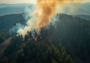 WWF: incendi 2026 +133% in Italia, richiesta sospensione caccia a settembre