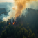 WWF: incendi 2026 +133% in Italia, richiesta sospensione caccia a settembre
