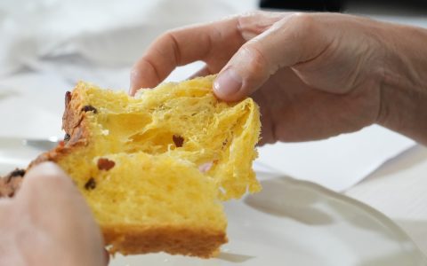 Mastro Panettone d’Élite 2026: tre pasticcieri abruzzesi in finale